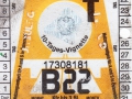 17308181V