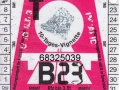 68325039V
