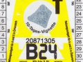 20871305V