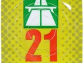 K0299331V