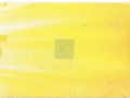 1102625445V