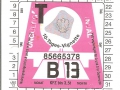 85665378V
