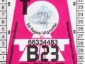 66334483V