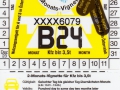 XXXX6079V