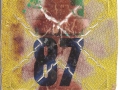 C0806602V